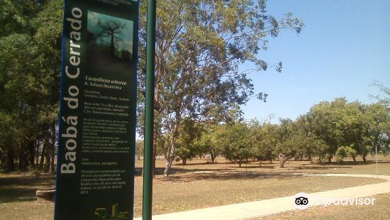 Parque Bosque dos Constituintes