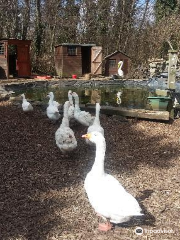 Rice Lane City Farm