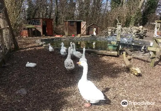 Rice Lane City Farm