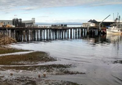 Olympic Coast Discovery Center