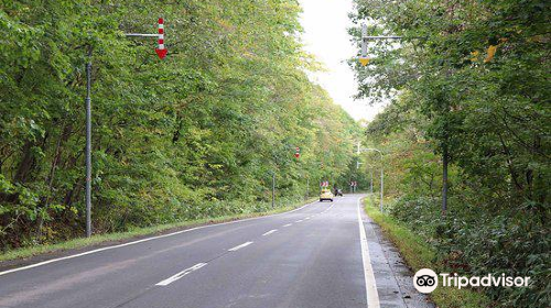 Shikotsu Lake Sky Road