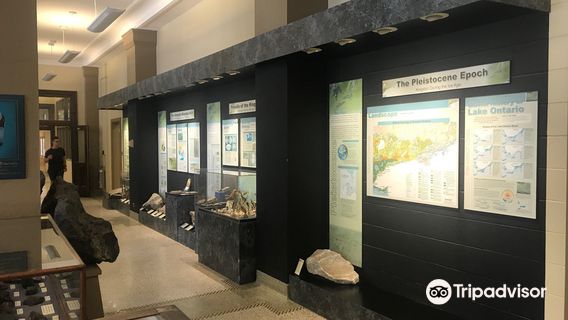 The Miller Museum Of Geology