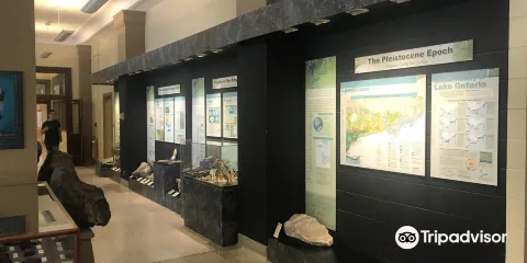 米勒地質學博物館