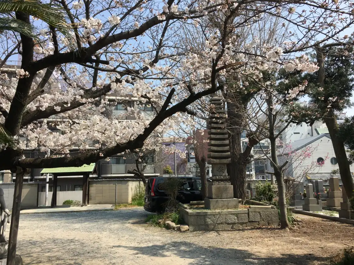 Hotel in zona Joshunji