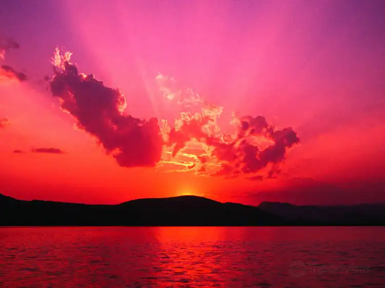New Hope