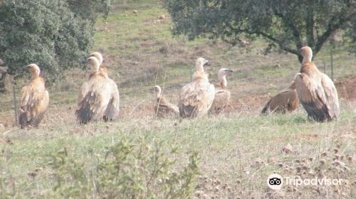 Centro Andaluz de la Fauna Salvaje