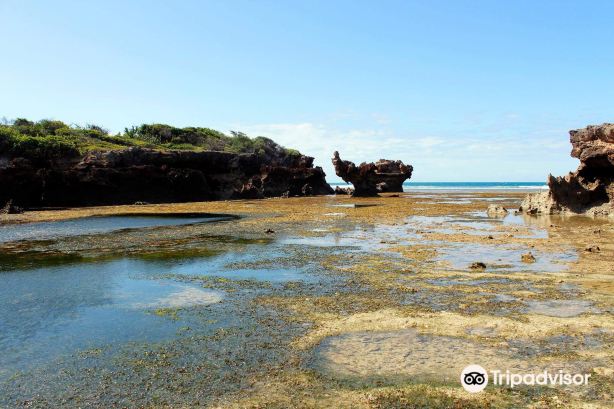 Bongoyo Island