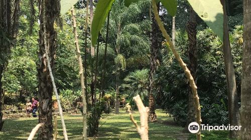 Jardin Botanico La Laguna