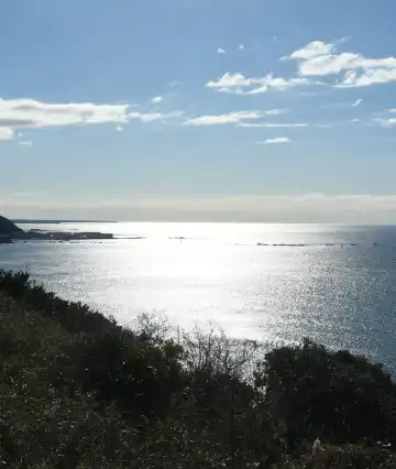 Hotels near Osaki Park