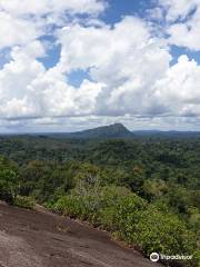 Природоохранная территория Центрального Суринама