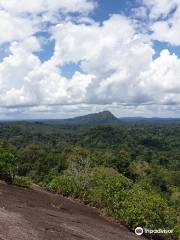 Central Suriname Nature Reserve