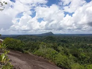 Khu bảo tồn tự nhiên Trung Suriname