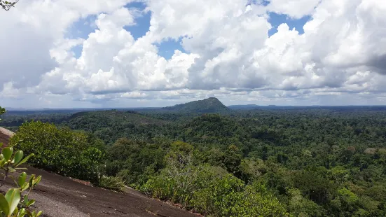 Central Suriname Nature Reserve