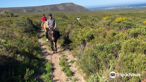 Grootbos Nature Reserve