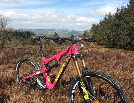 Coed Llandegla Forest