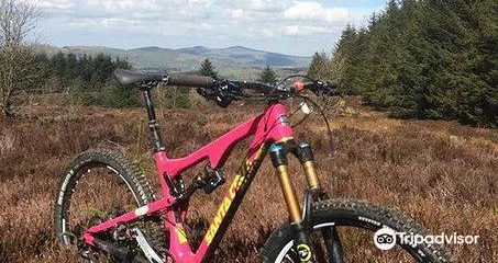 Coed Llandegla Forest