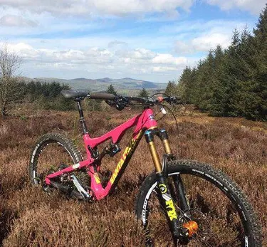 Coed Llandegla Forest