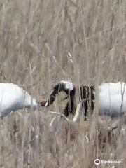 Kushiro Marsh Wildlife Conservation Center