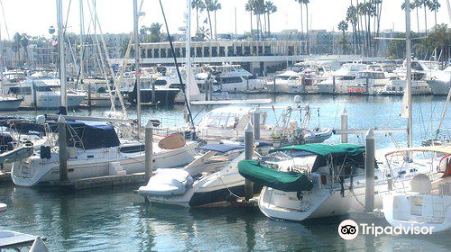 Marina del Rey Harbor