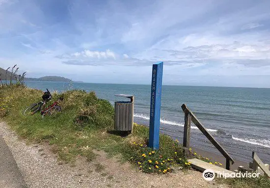 Te Ara o Whareroa Trail