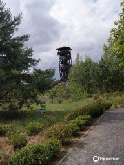 Wooden Observation Tower