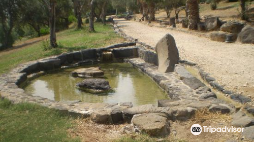 Hamat Tiberias National Park