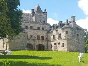 Castle de Sedieres
