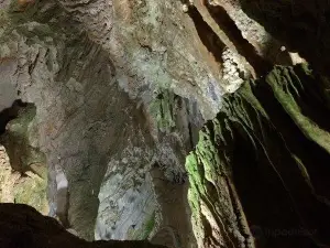 Cueva del Palmarito