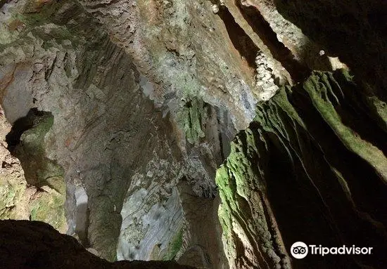 Cueva del Palmarito