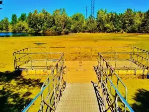 Salish Ponds Wetland Park