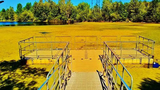 Salish Ponds Wetland Park