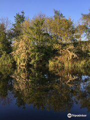 River Lea