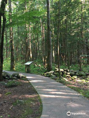 Sugarlands Valley Nature Trail