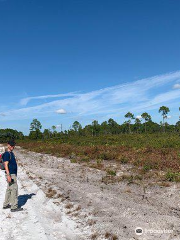 Cedar Key Scrub State Reserve