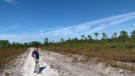 Cedar Key Scrub State Reserve