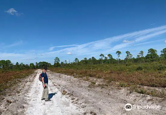 Cedar Key Scrub State Reserve