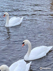 Antrim Lough Shore Park Car Park