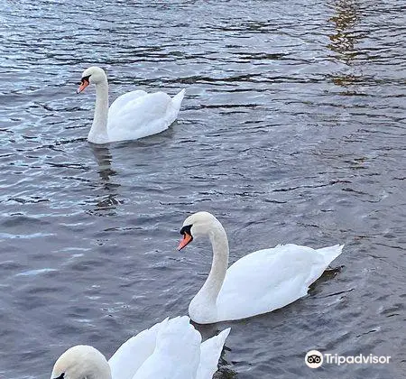 Antrim Lough Shore Park Car Park