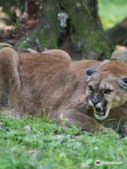 West Virginia State Wildlife Center