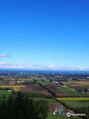 Shin Arashiyama Sky Park Observatory