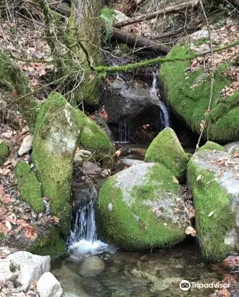 Brandy Creek Falls