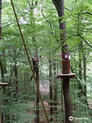 Wald-Abenteuer der Waldkletterpark