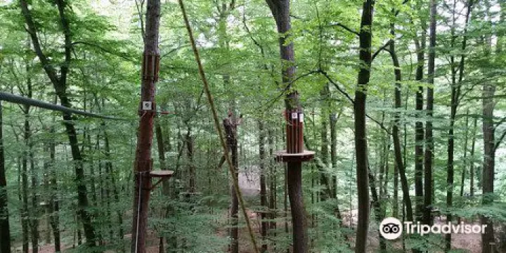 Wald-Abenteuer der Waldkletterpark