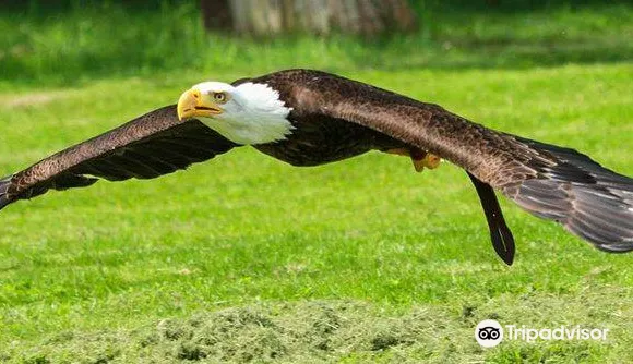 阿夫爾河畔韋爾訥伊