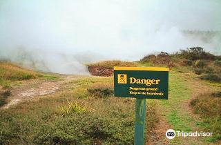 Wairakei Geothermal Power Station