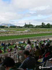 函館競馬場