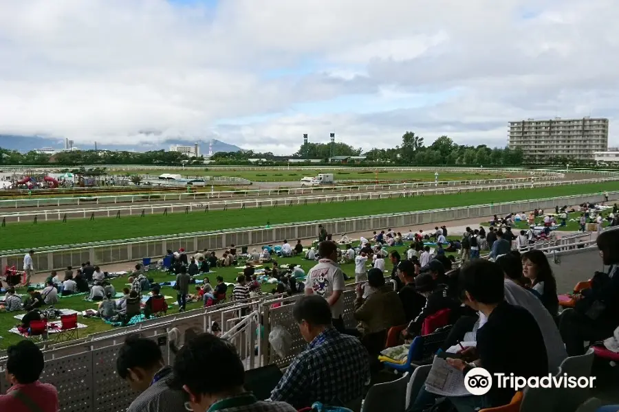 函館競馬場