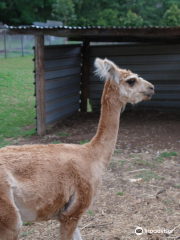 Golden Ridge Animal Farm, sydney