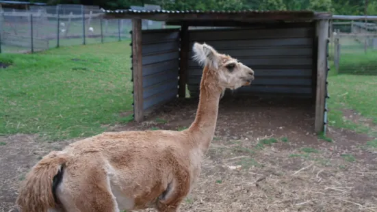 Golden Ridge Animal Farm, sydney