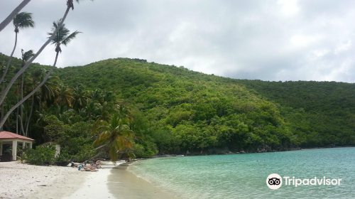 Maho Bay Beach